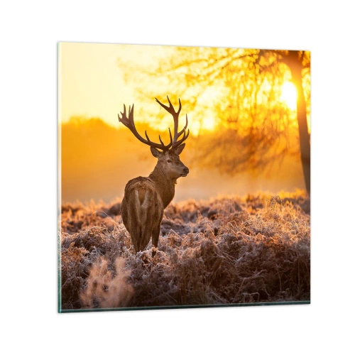 Schilderen op glas - Koning van het herfstbos - 30x30 cm