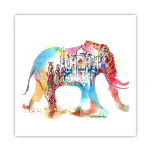 Poster - India - de uitstraling van liefde - 60x60 cm