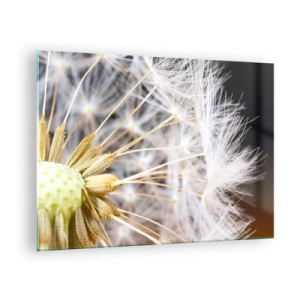 Schilderen op glas - Close-up van een paardenbloem met delicate zaden - 70x50cm - Net voor vertrek - Moderne wanddecoratie voor woonkamer en slaapkamer ARTTOR