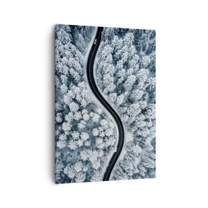 Schilderen op canvas - Door het winterbos - 50x70 cm
