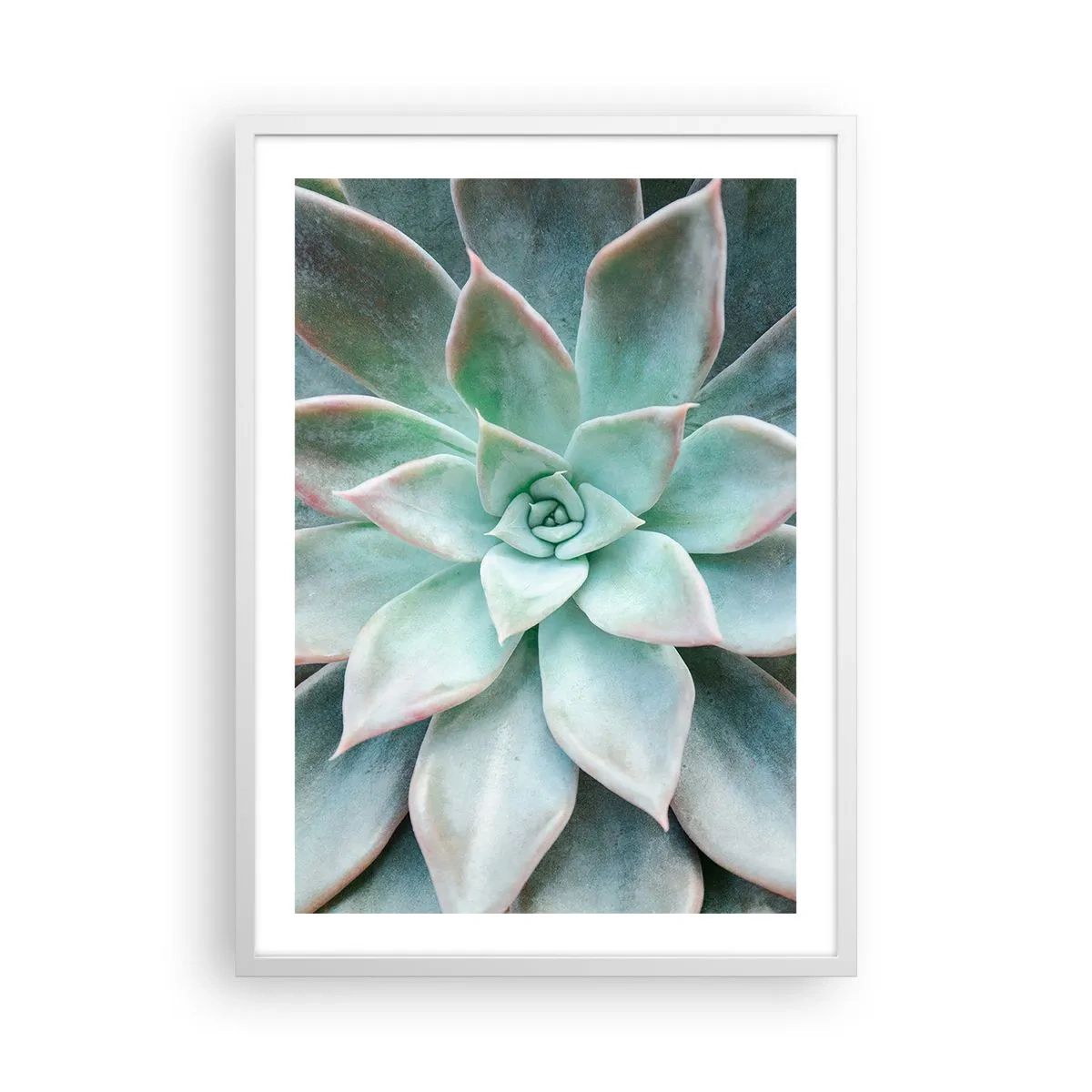 Poster in een witte lijst - Het hart van de woestijn - 50x70 cm