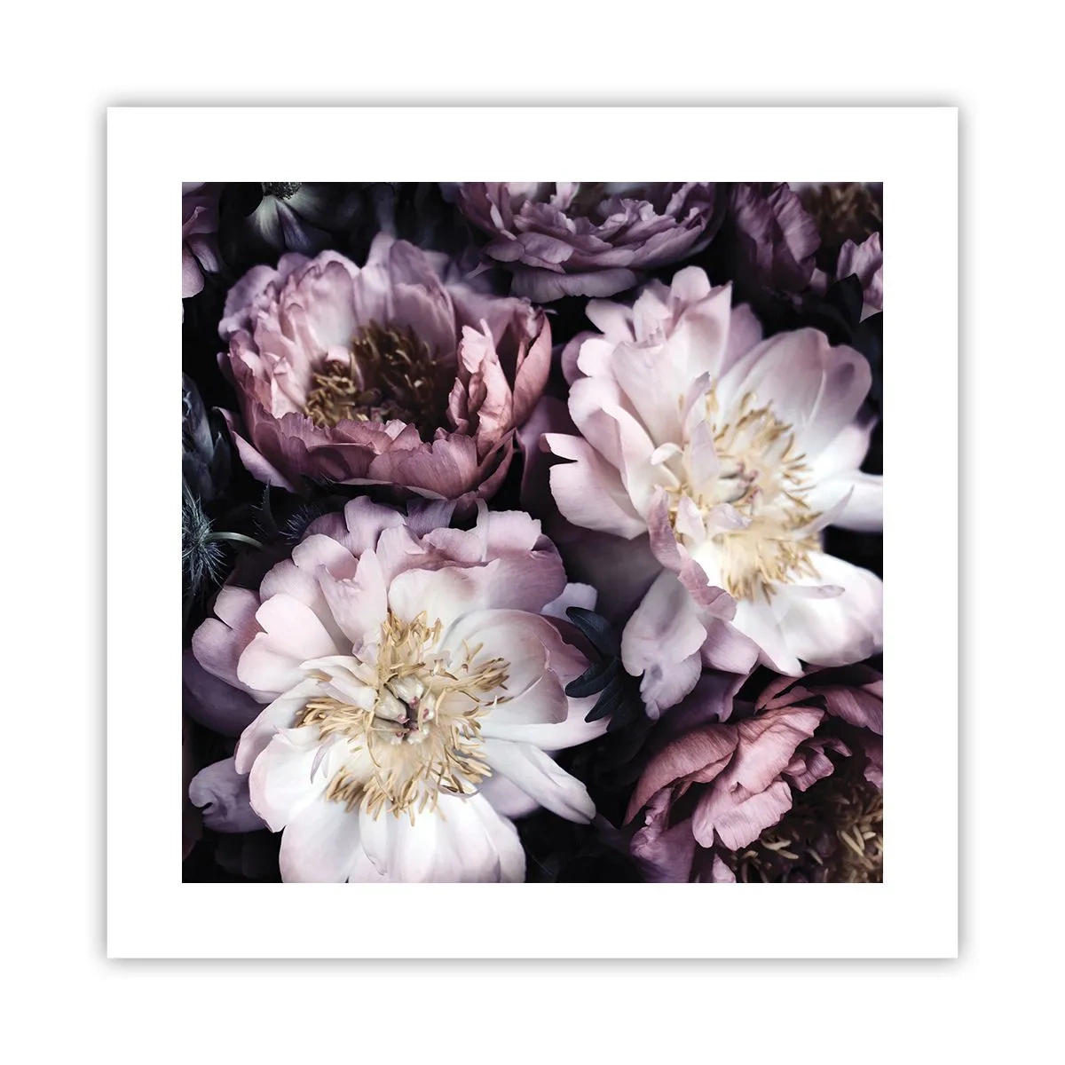 Poster - Boeket ouderwets - 40x40 cm