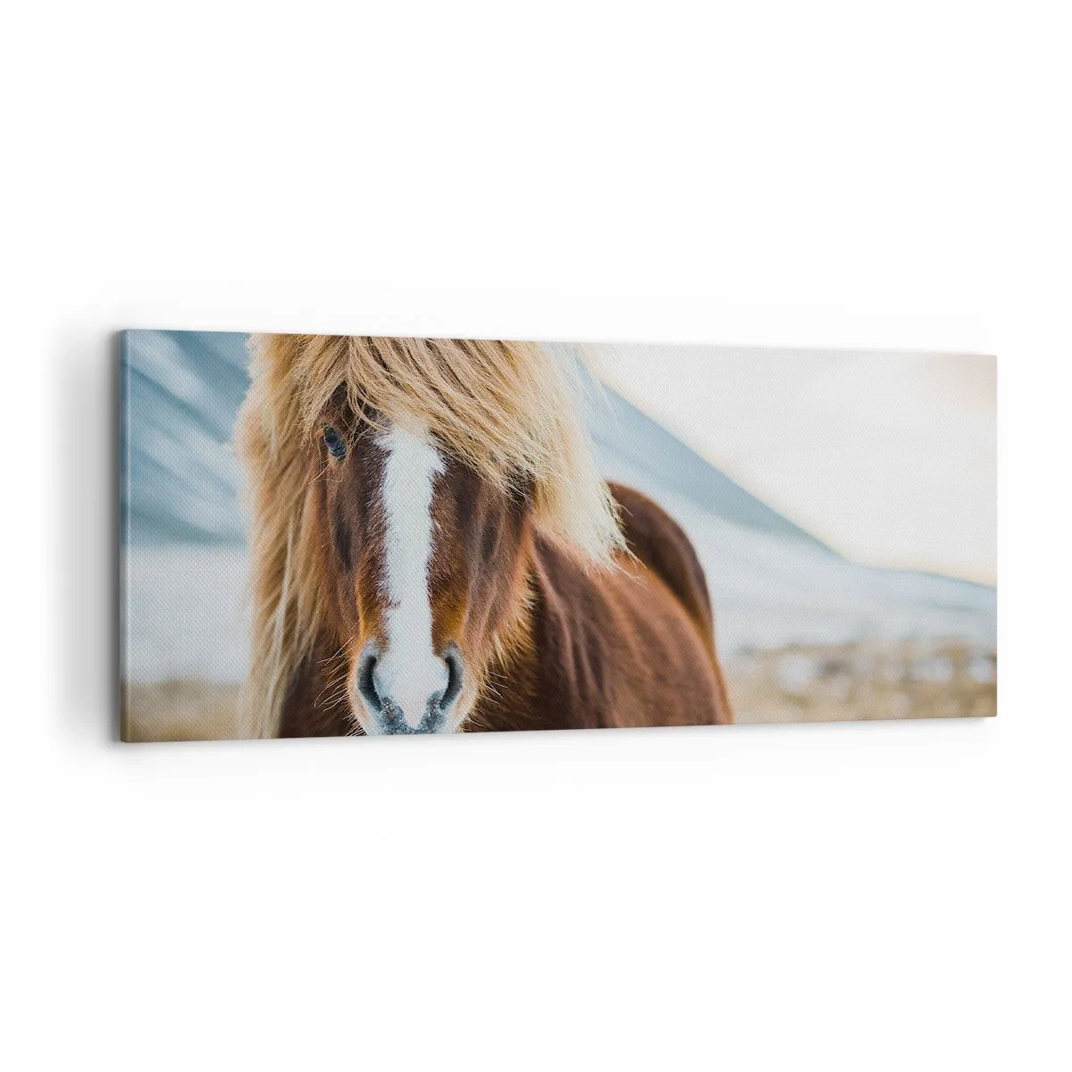 Schilderen op canvas - Voel jij je vrij? - 100x40 cm