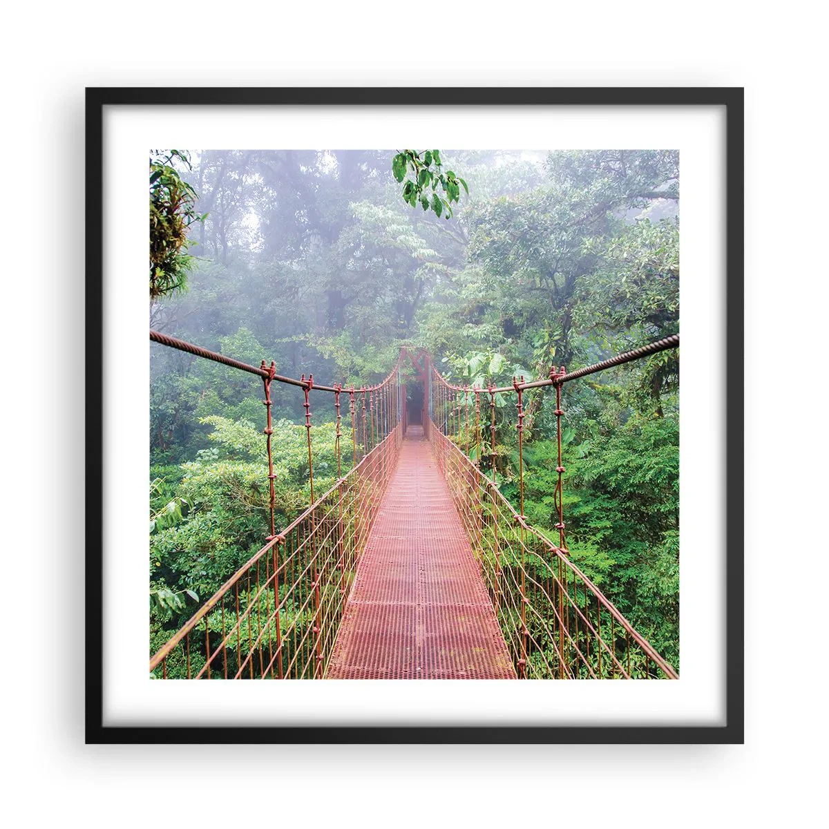 Poster in een zwarte lijst - Opgehangen over de kronen - 50x50 cm