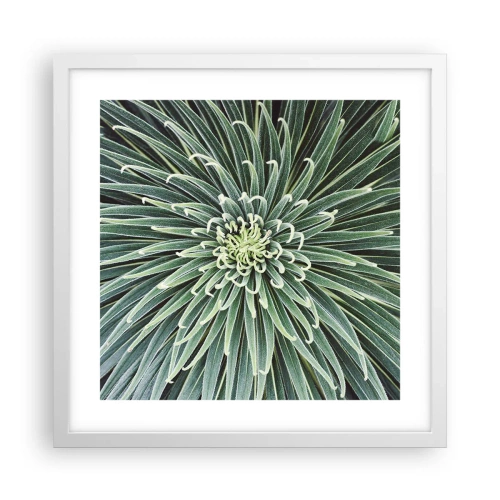 Poster in een witte lijst - Een ster is geboren - 40x40 cm