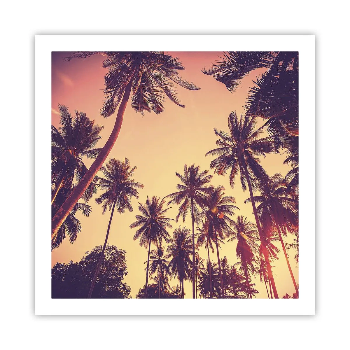 Poster - Een tropische variant - 60x60 cm