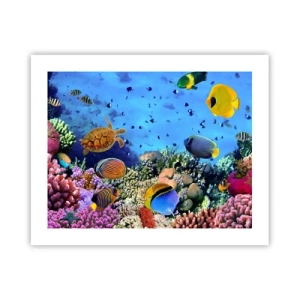 Poster - En wat weten we over het leven... - 50x40 cm