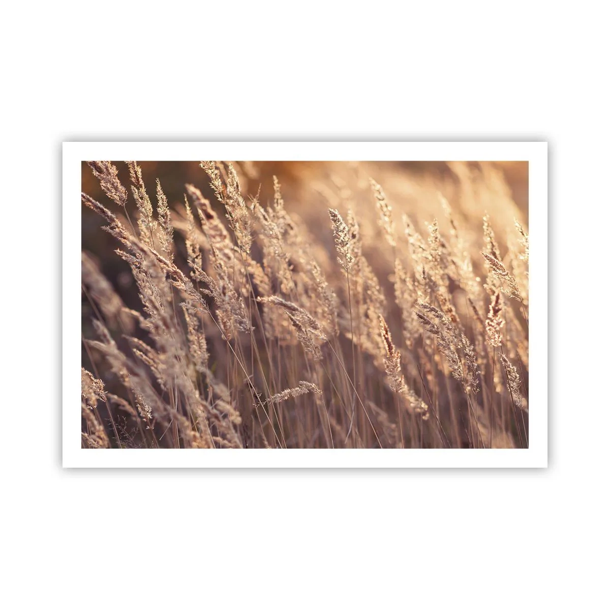 Poster - Klaar om de herfst te verwelkomen - 91x61 cm