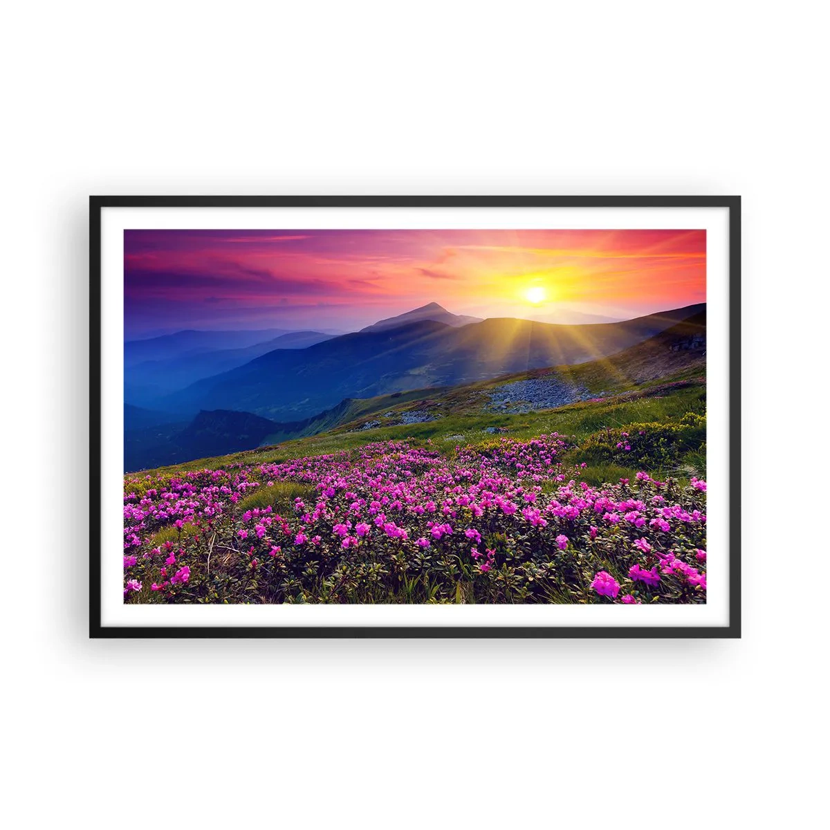 Poster in een zwarte lijst - … En eromheen ruikt het naar bergdennen en de geur van kruiden - 91x61 cm