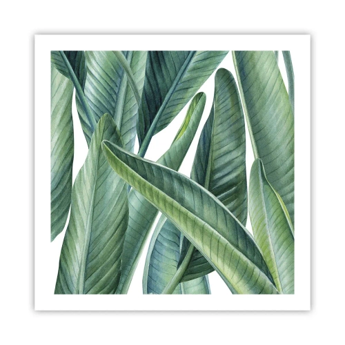 Poster - Groen zelf - 60x60 cm