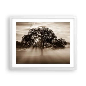 Poster in een witte lijst - Boom van goede kennis alleen - 50x40 cm