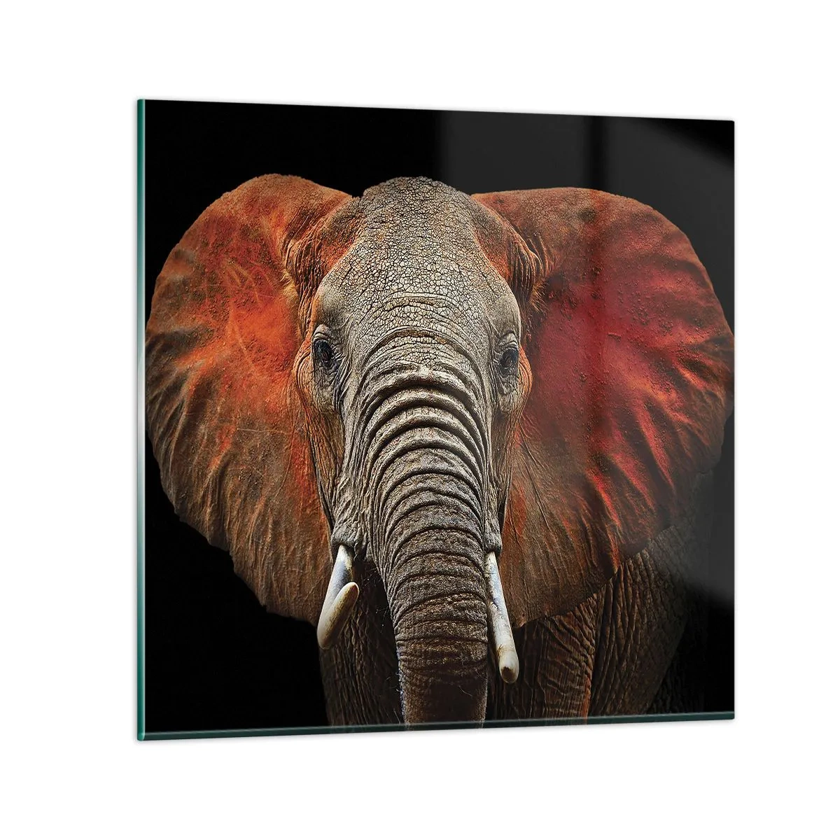 Schilderen op glas - Ik ben wild, en jij? - 60x60 cm