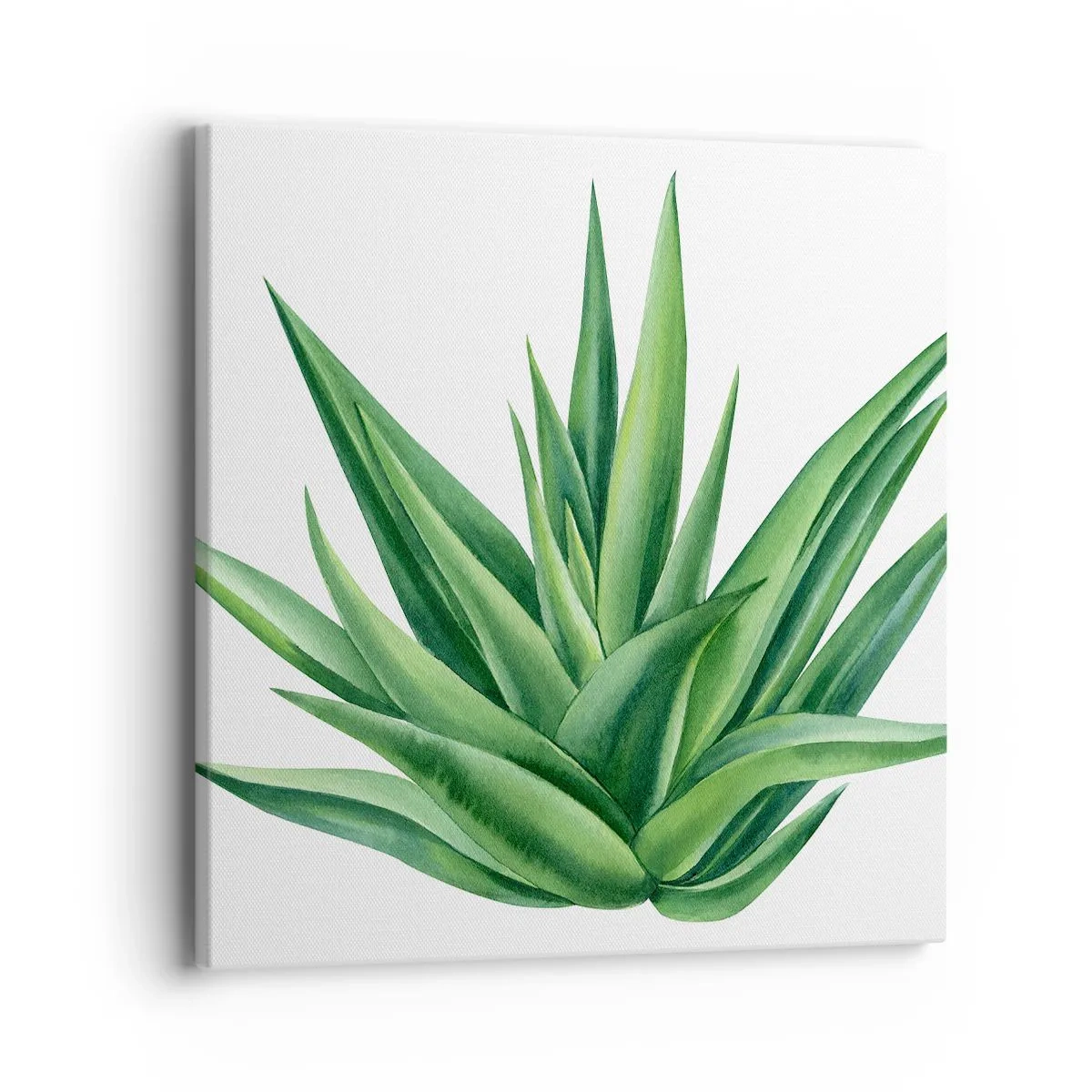 Schilderen op canvas - Groen – kracht – leven - 40x40 cm