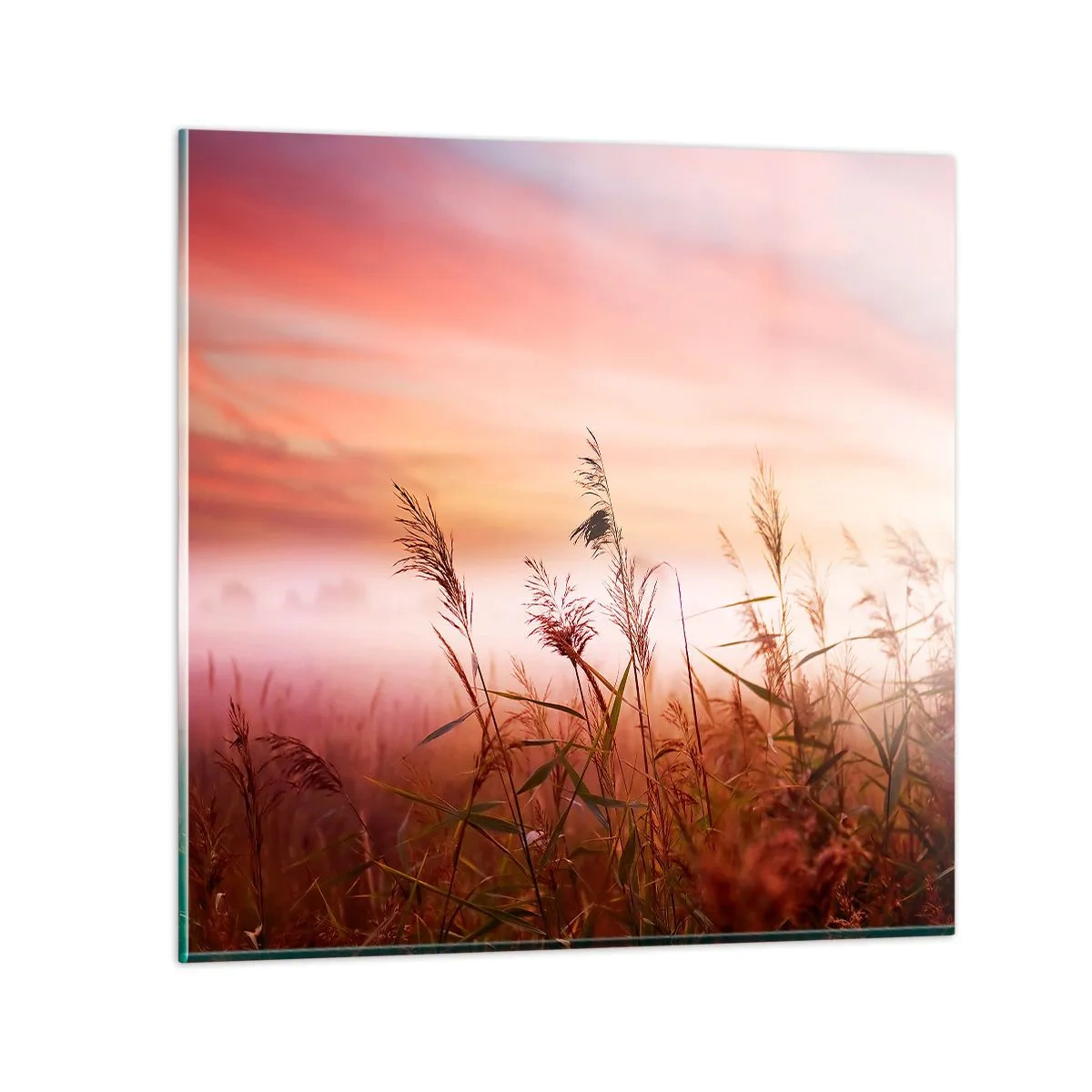 Schilderen op glas - Vliegers, paardebloemen, wind - 60x60 cm