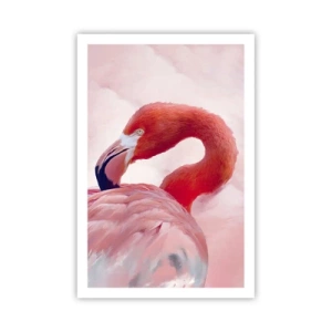 Poster - Vogel schoonheid - 61x91 cm