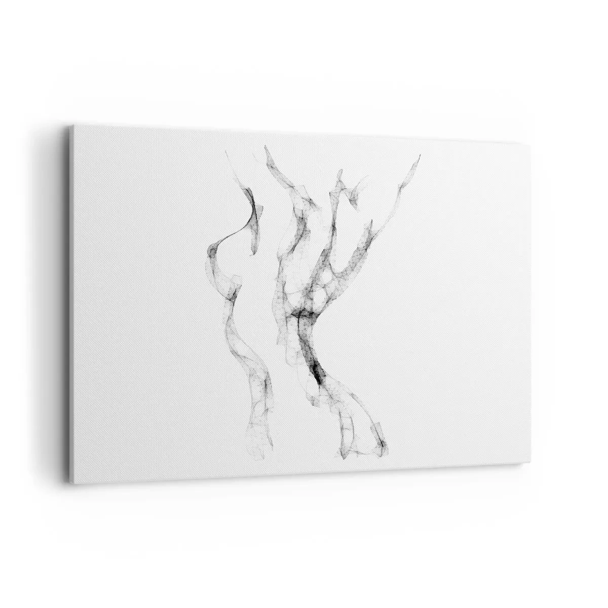 Schilderen op canvas - Mooi en sterk - 100x70 cm