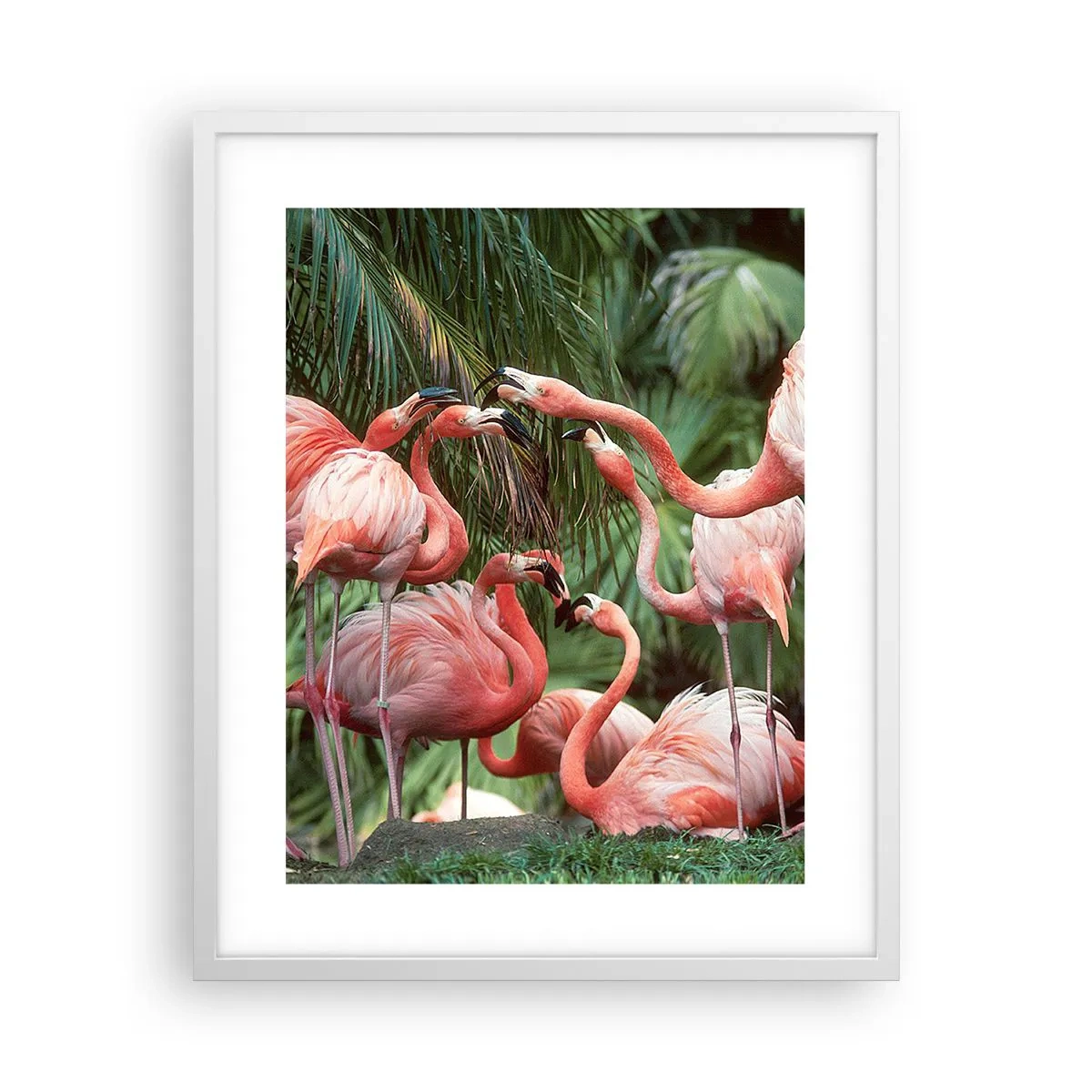 Poster in een witte lijst - Middag roddels - 40x50 cm