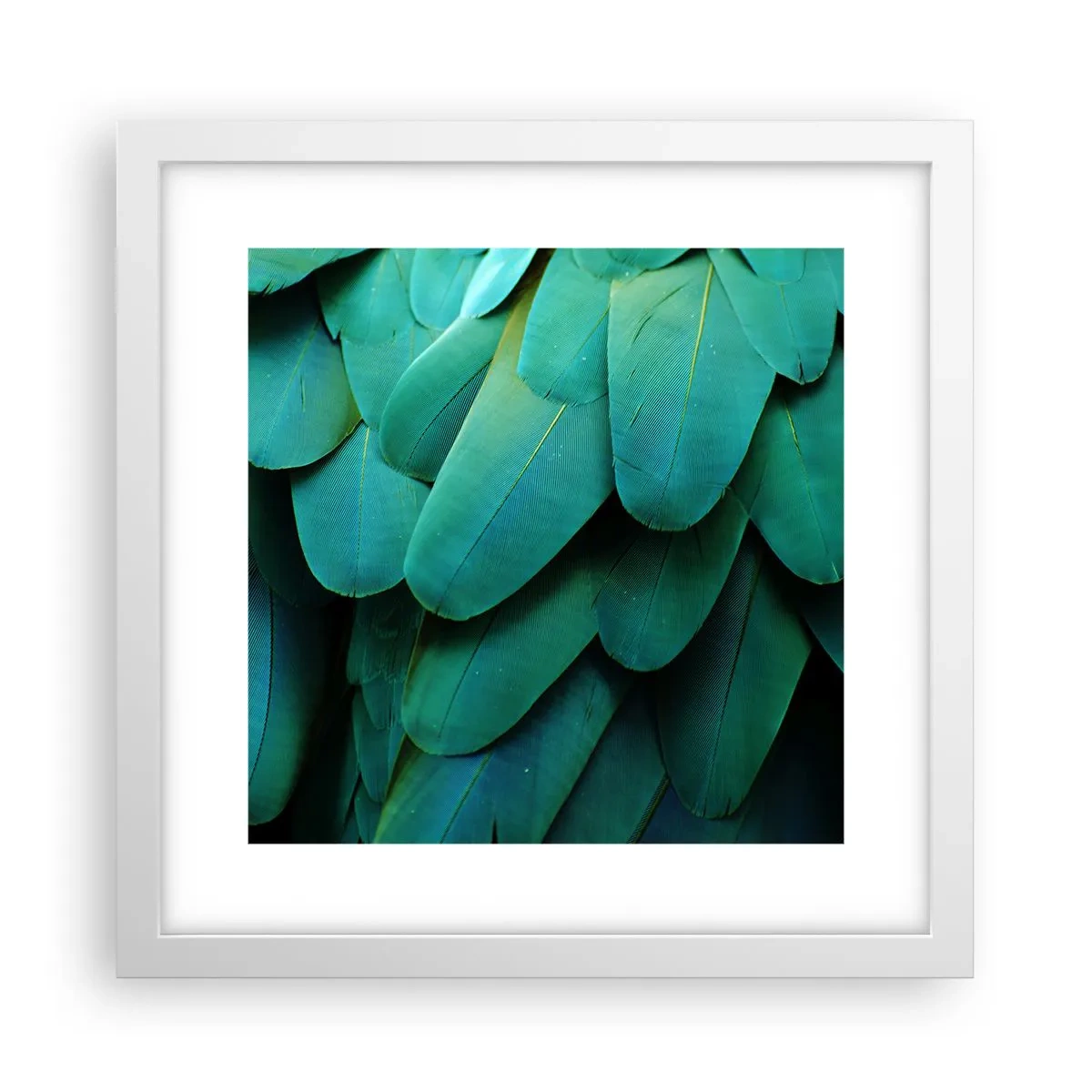 Poster in een witte lijst - Papegaaiachtige precisie - 30x30 cm