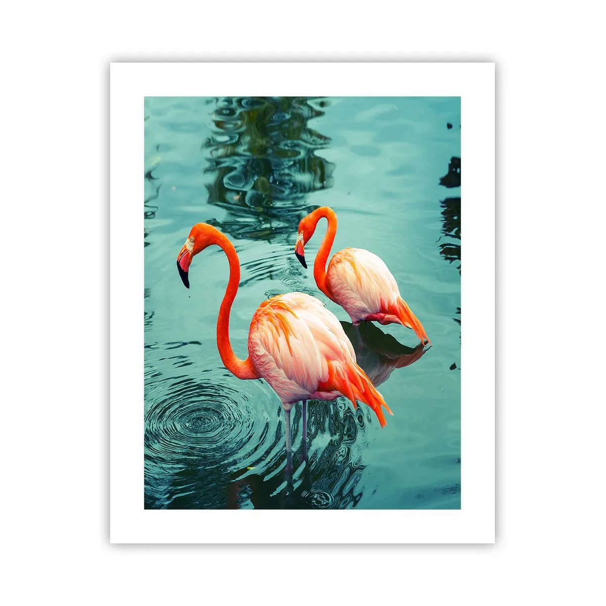 Poster - We zijn nu in de mode - 40x50 cm