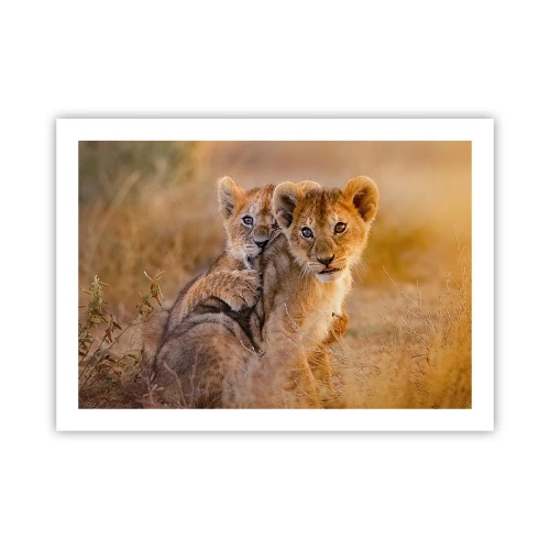 Poster - Niet storen! We hebben plezier - 70x50 cm