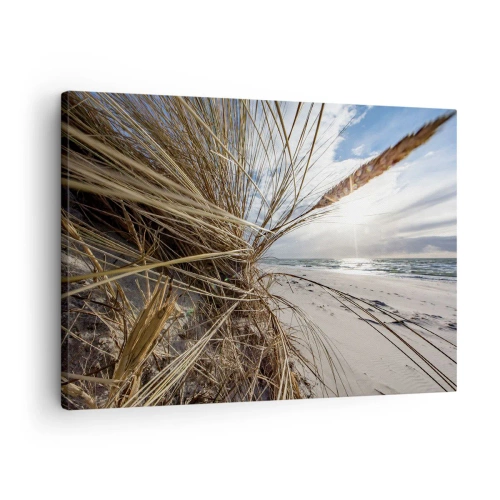 Schilderen op canvas - Een strand met droog gras op de duinen en uitzicht op zee - 70x50cm - Een ontmoeting van de elementen - Moderne wanddecoratie voor woonkamer en slaapkamer ARTTOR