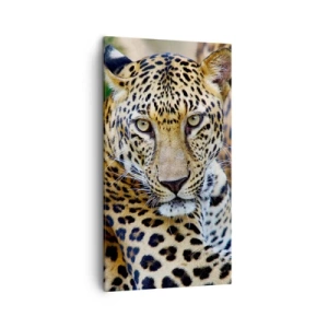 Schilderen op canvas - Wild en kalm - 45x80 cm