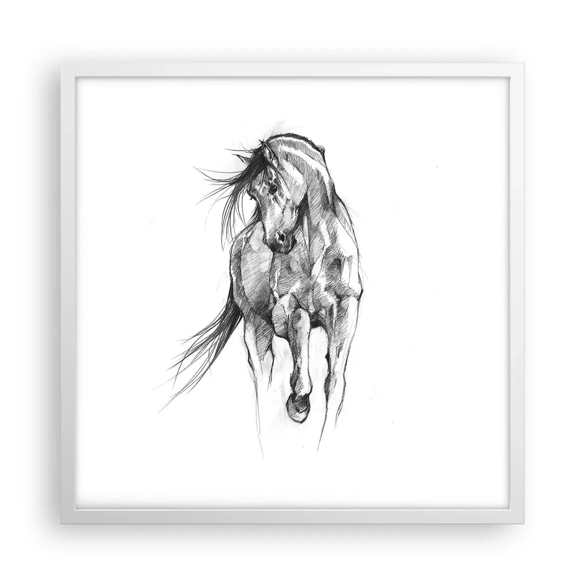 Poster in een witte lijst - In een sierlijke draf - 50x50 cm