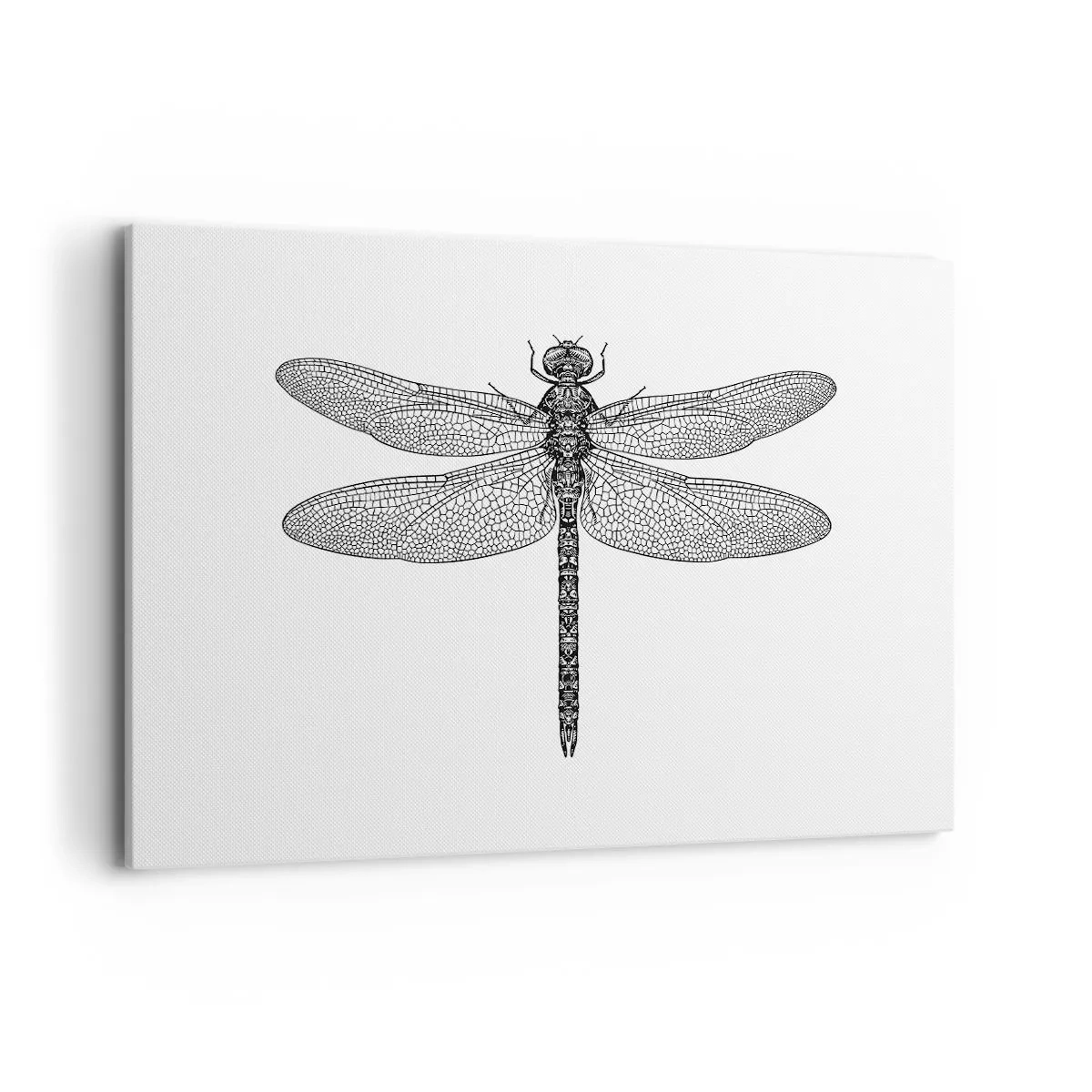 Schilderen op canvas - Precisie van de natuur - 100x70 cm