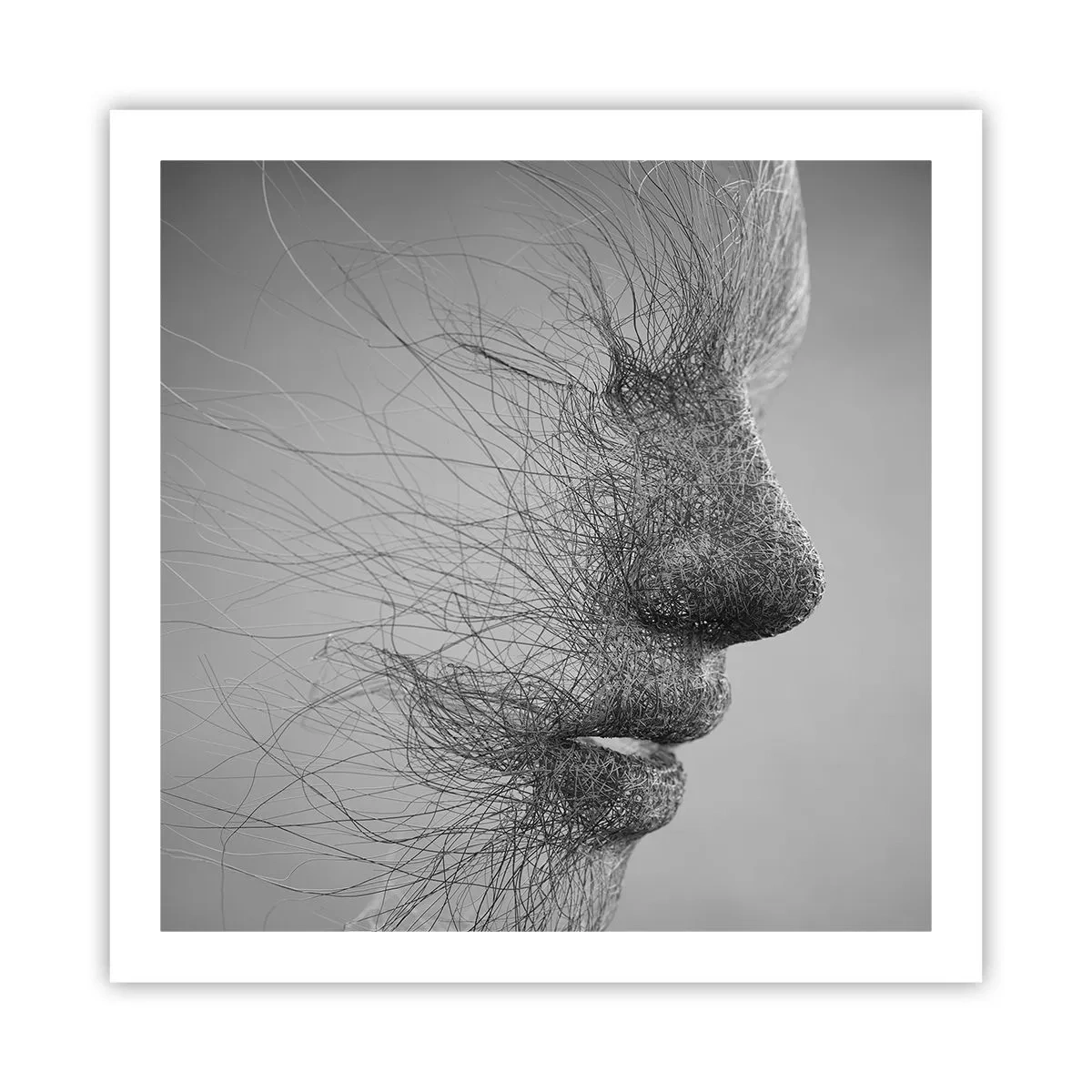 Poster - De geest van de wind - 60x60 cm