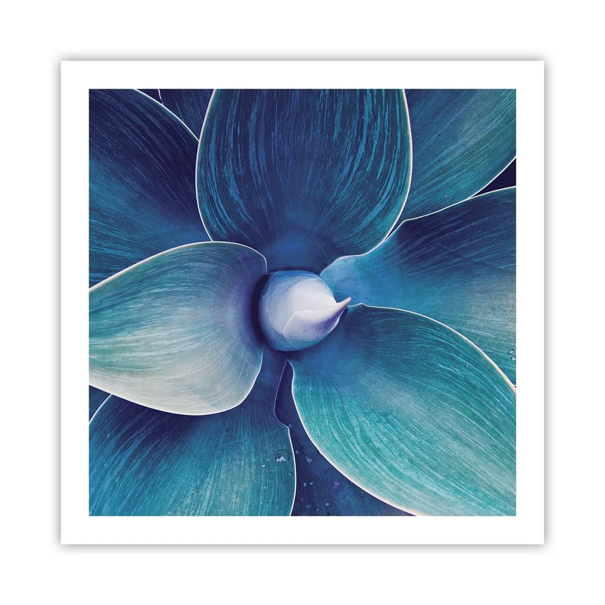 Poster - Blauw uit de lucht - 60x60 cm