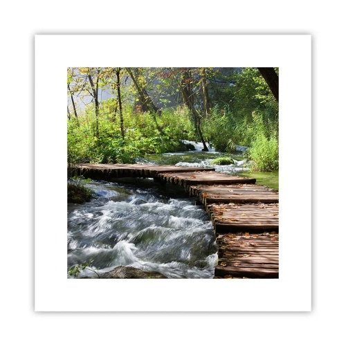 Poster - Boven de schuimige waterval - 30x30 cm