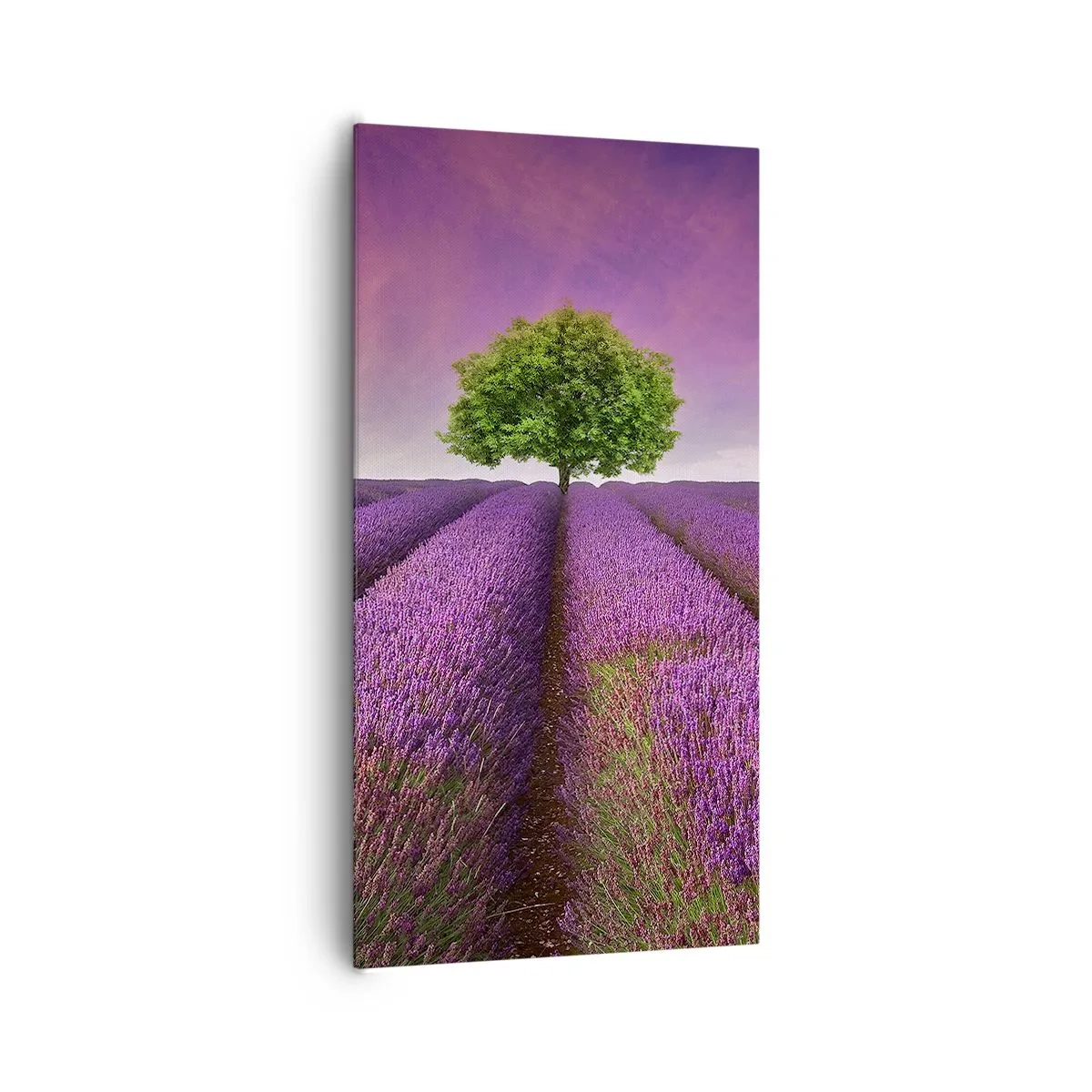 Schilderen op canvas - Op lavendelvelden - 65x120 cm