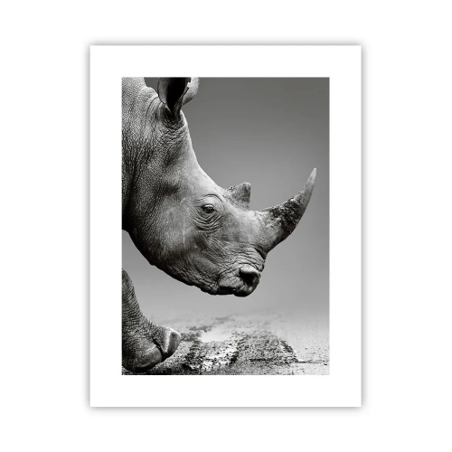 Poster - Onstuitbare kracht - 30x40 cm