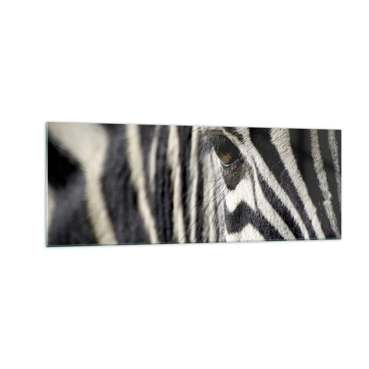 Schilderen op glas - Gestreept portret - 140x50 cm