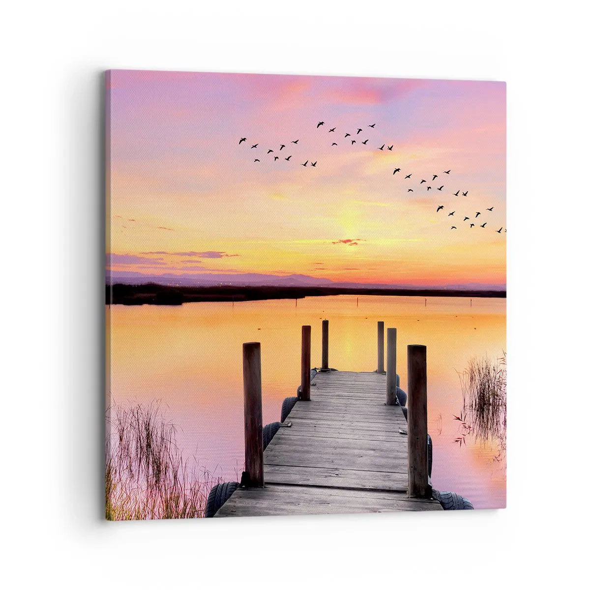 Schilderen op canvas - Violet stille dageraad - 70x70 cm