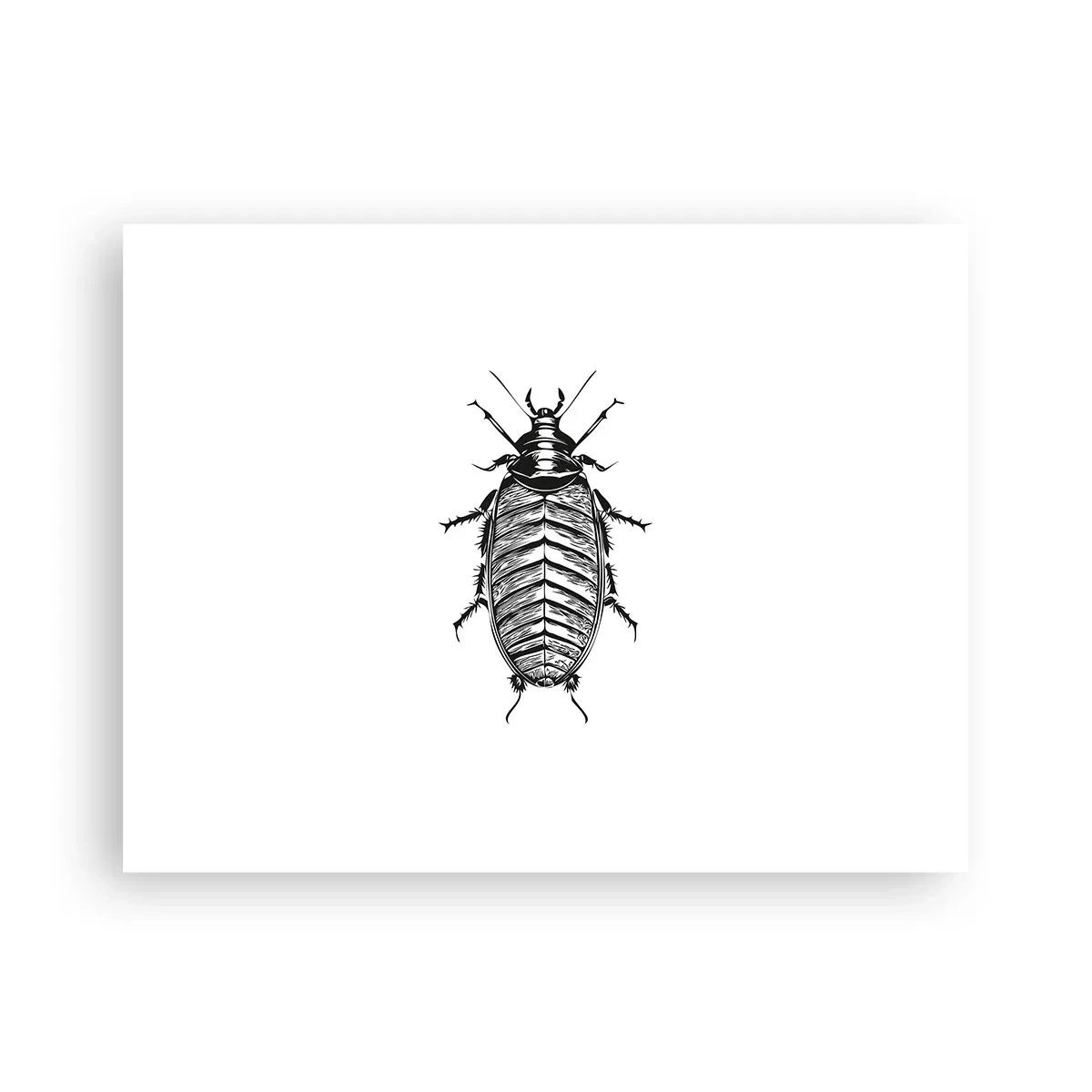 Poster - Wat een exemplaar! - 40x30 cm