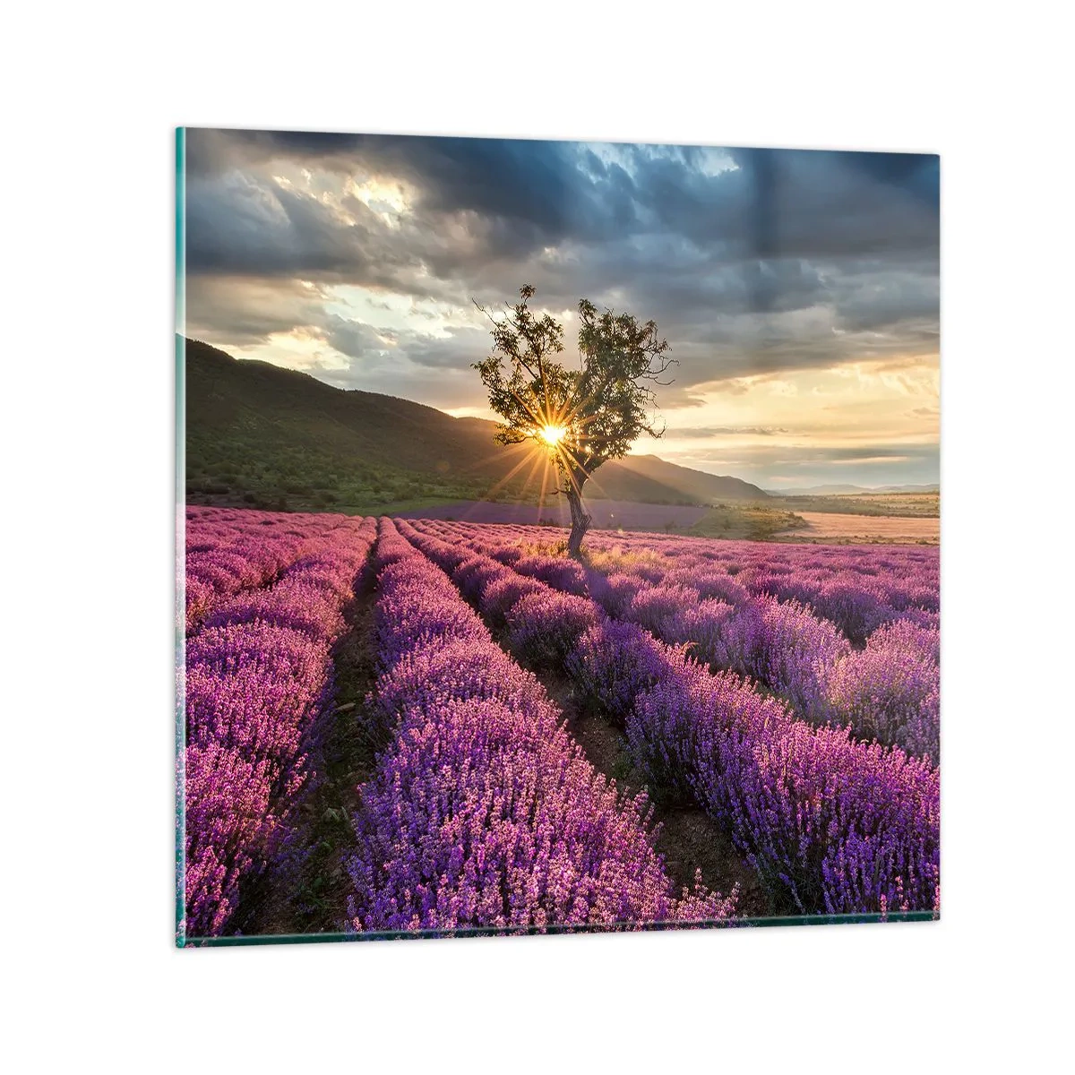 Schilderen op glas - Lila gekleurd aroma - 70x70 cm