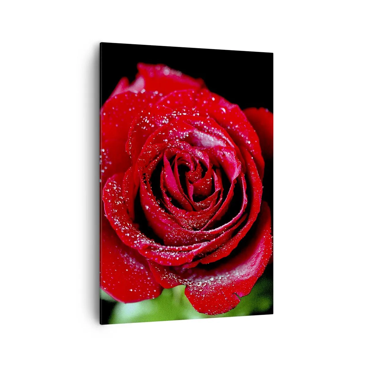 Schilderen op canvas - Dit is liefde - 70x100 cm