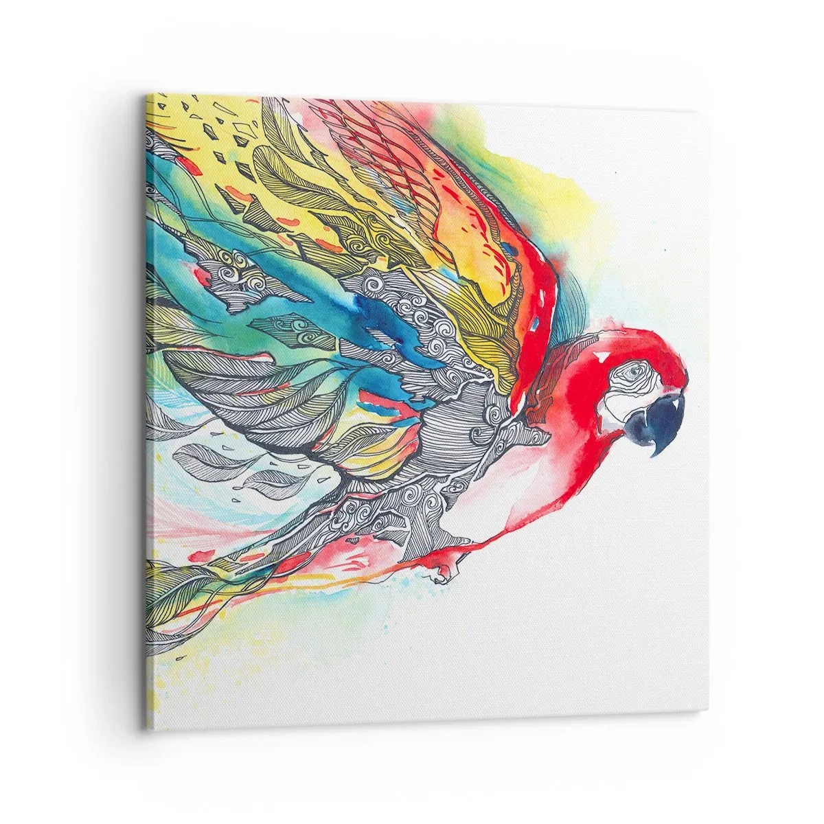 Schilderen op canvas - Leef kleurrijk - 60x60 cm