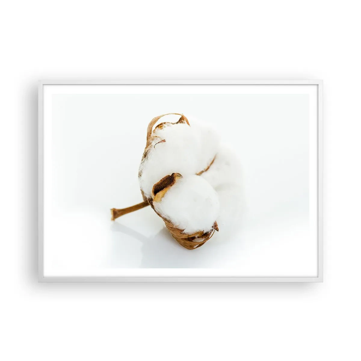 Poster in een witte lijst - Zacht van aard - 100x70 cm