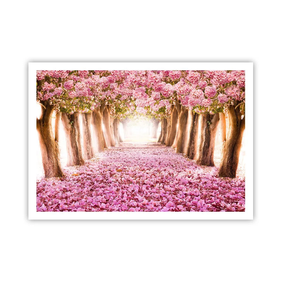 Poster - De weg naar het paradijs - 100x70 cm