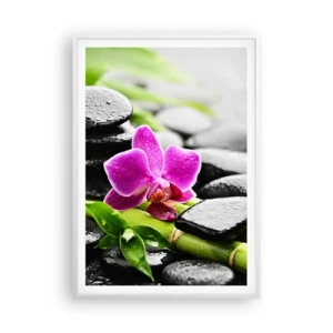 Poster in een witte lijst - In een vrede evenwicht - 70x100 cm