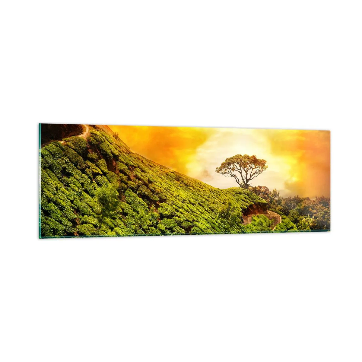 Schilderen op glas - Een kronkelend pad, een groene helling - 90x30 cm