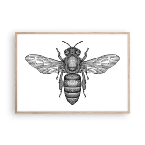 Een poster in een licht eiken lijst - Insectenportret - 100x70 cm