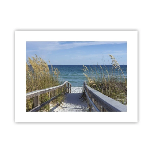 Poster - In de zon, in de wind - 40x30 cm