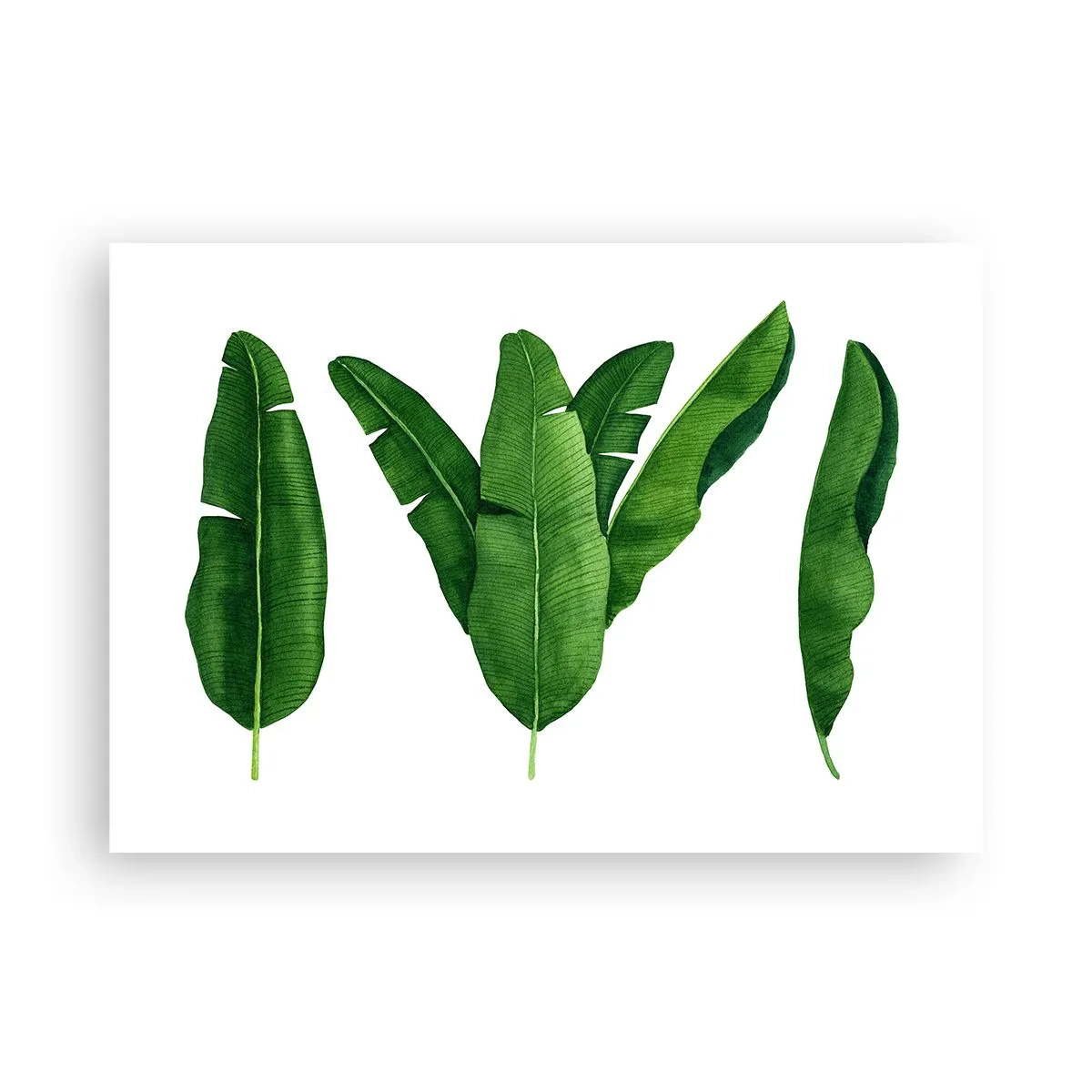 Poster - Groene symmetrie - 100x70 cm