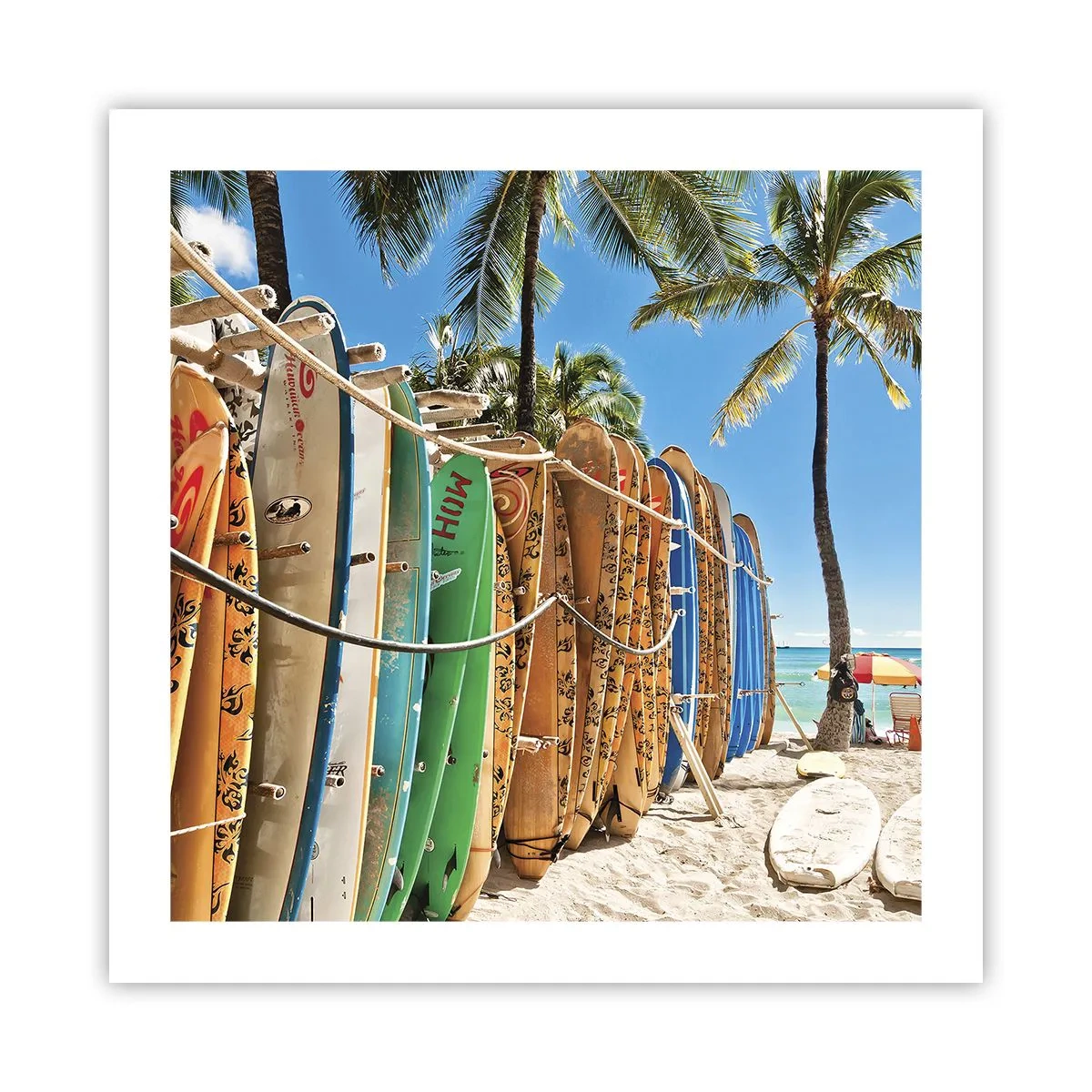 Poster - Zonnig plezier - 50x50 cm