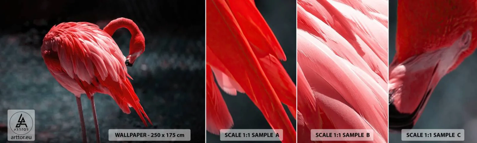 Fotobehang Monster Zelfklevend Deluxe Sticker - Een karmozijnrood gedicht van de natuur - Flamingo, Vogel, Natuur - 100x30 cm