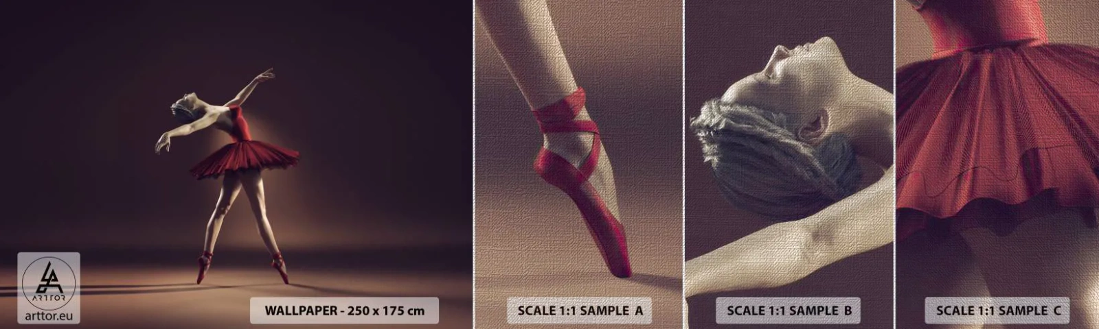 Fotobehang Monster Premium Canvas - Een prima ballerina - Ballerina, Dans, Ballet - 100x30 cm