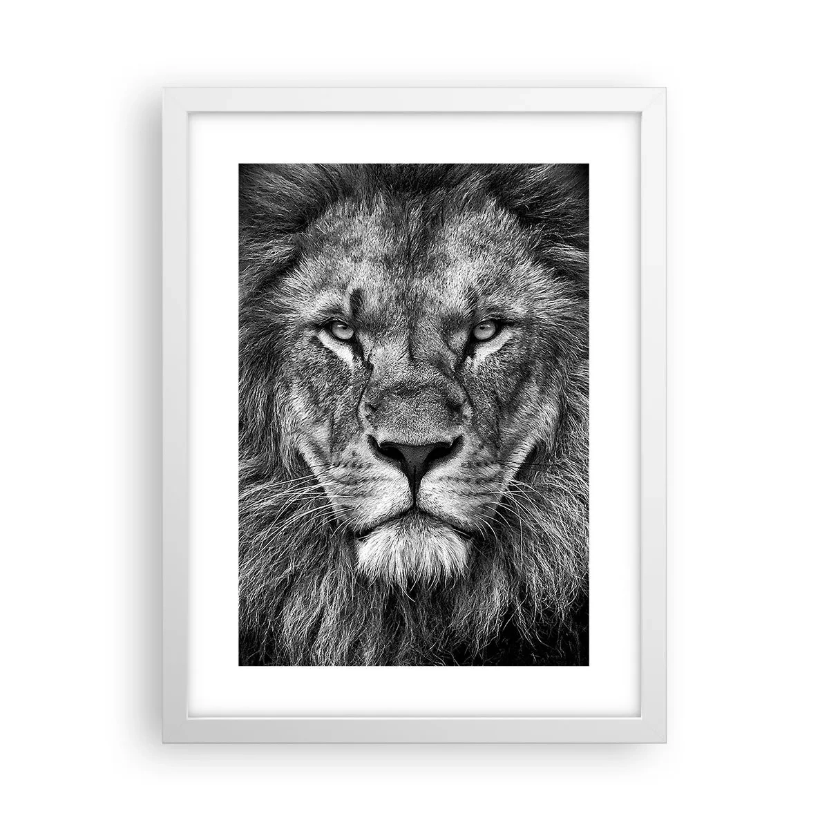 Poster in een witte lijst - In een kroningskleed - 30x40 cm